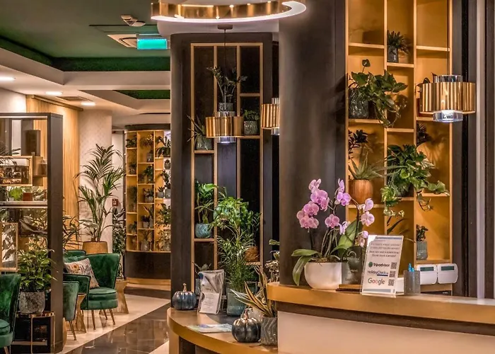 维拉马林酒店 酒店 扎马迪